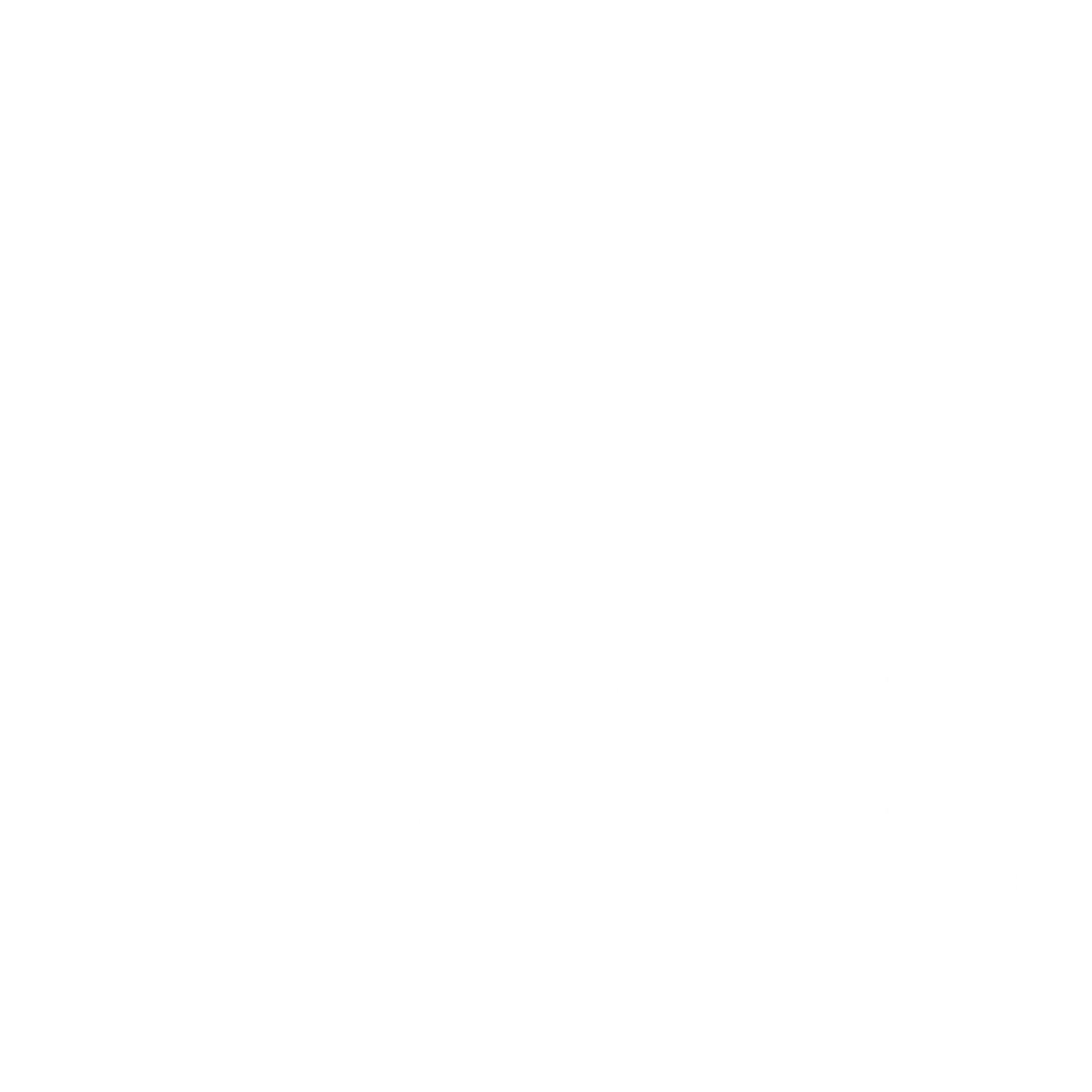 LOGO AYNI