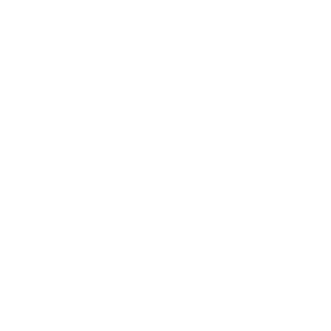 LOGO PURA VIDA